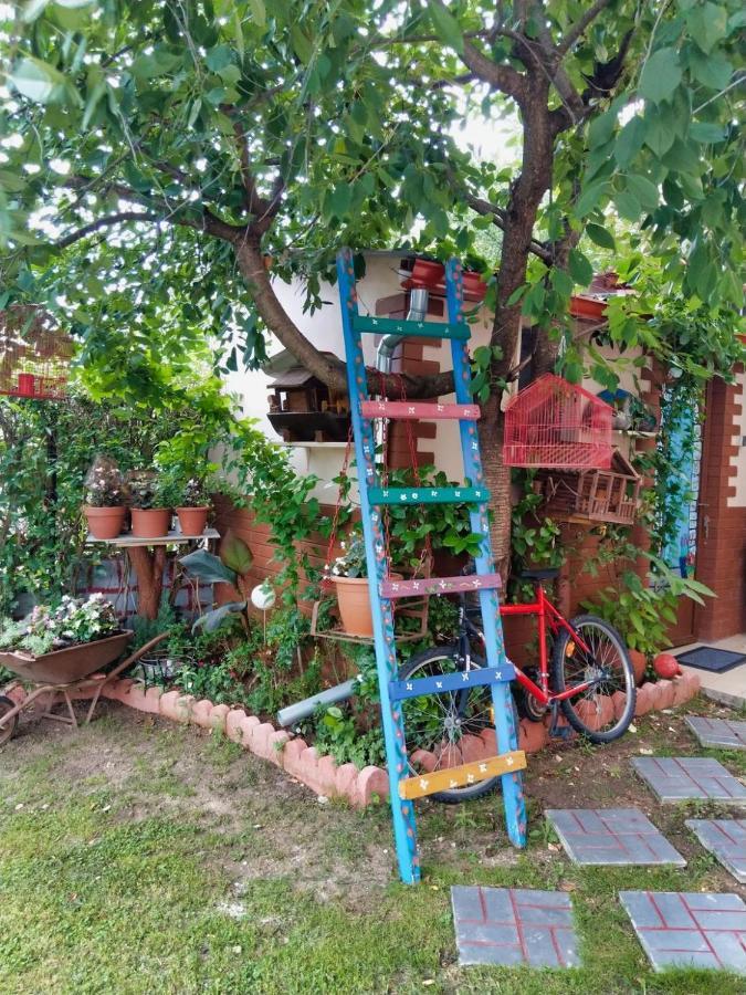 Mama'S Cozy Room 1 Kalampáka Dış mekan fotoğraf